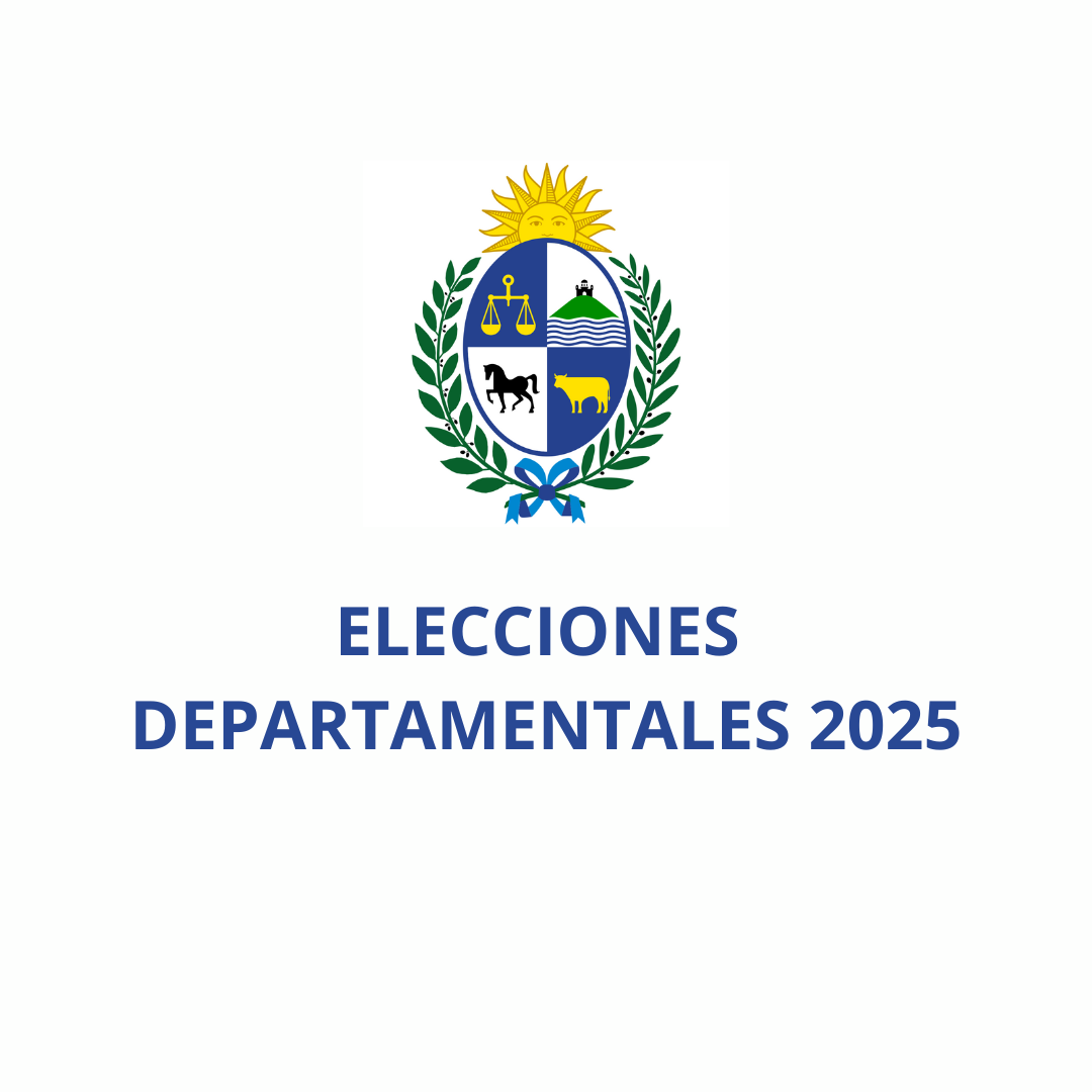 Lee más sobre el artículo ELECCIONES DEPARTAMENTALES 2025